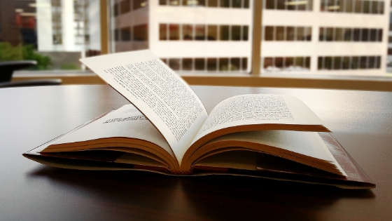 official sworn translator marbella