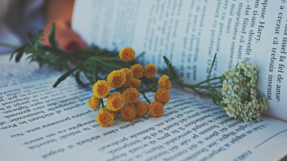 traductor jurado sabadell